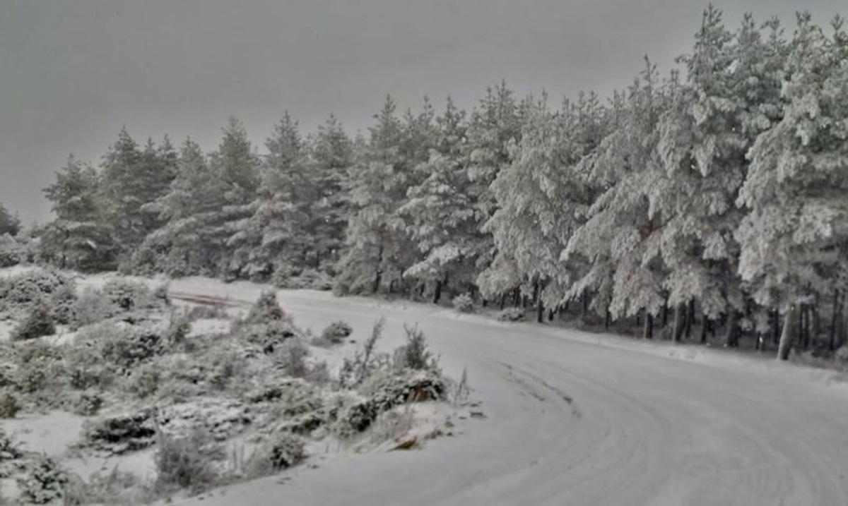 Θράκη: Πυκνό χιόνι σε περιοχές της Ροδόπης και του Έβρου – Μαγικές εικόνες στη φύση [pics]