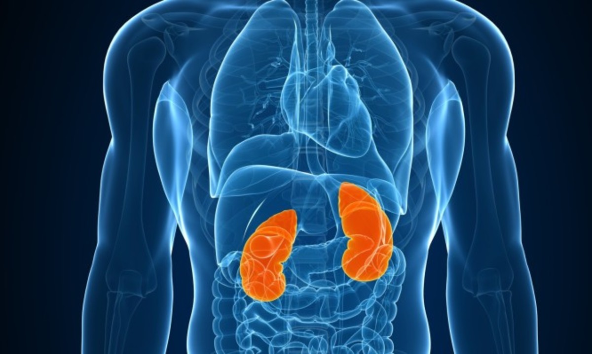 Τα σημάδια που δείχνουν ότι τα νεφρά σας έχουν πρόβλημα με το νερό που πίνετε [vid]