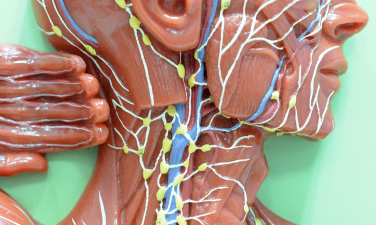 Λέμφωμα – καρκίνος: Προσοχή στα «αθώα» συμπτώματα – Πού να ψηλαφήσετε για την αυτοεξέταση [vid]