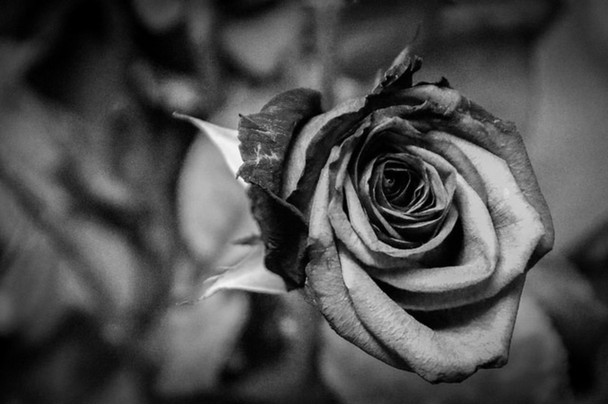 Θρήνος για τον θάνατο πασίγνωστης 53χρονης ηθοποιού