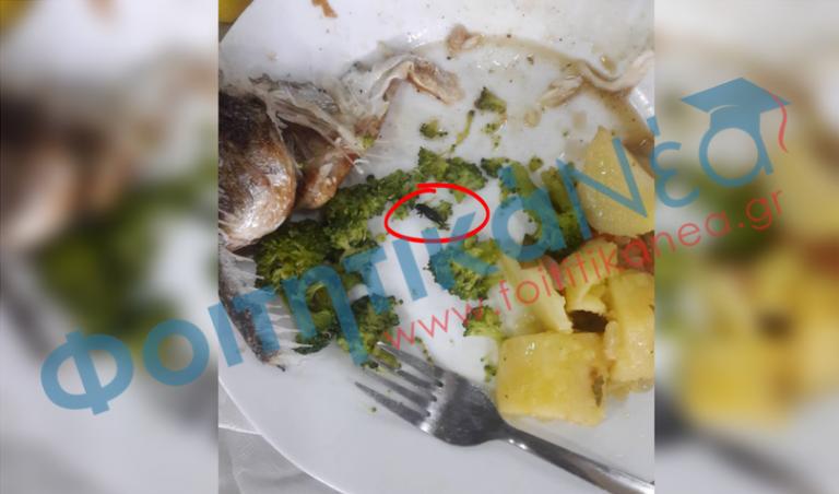 Αυτό βρήκε ένας φοιτητής μέσα στο φαγητό της λέσχης στο Πανεπιστήμιο Πατρών! [pic]