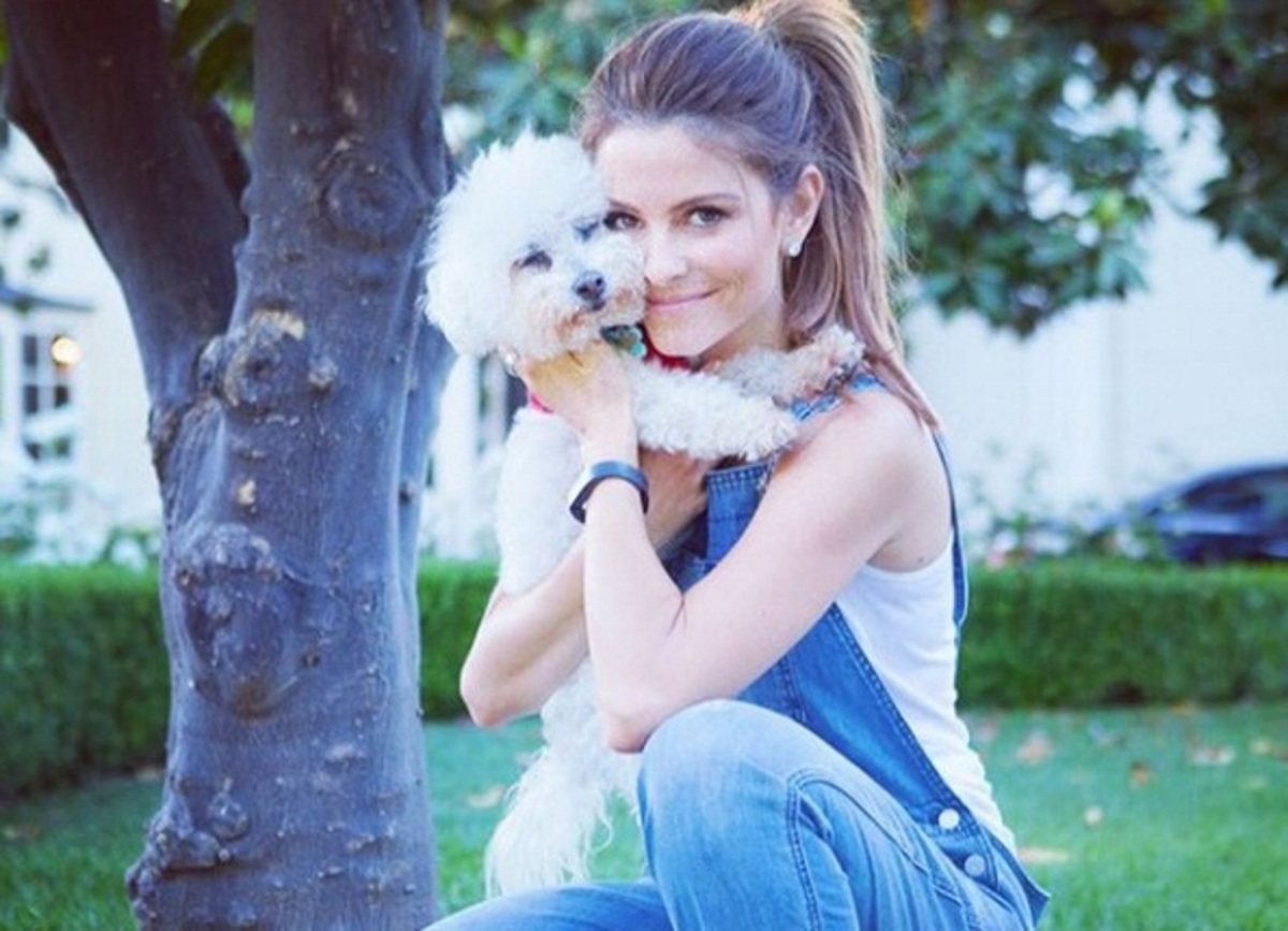 Θλίψη για την Maria Menounos