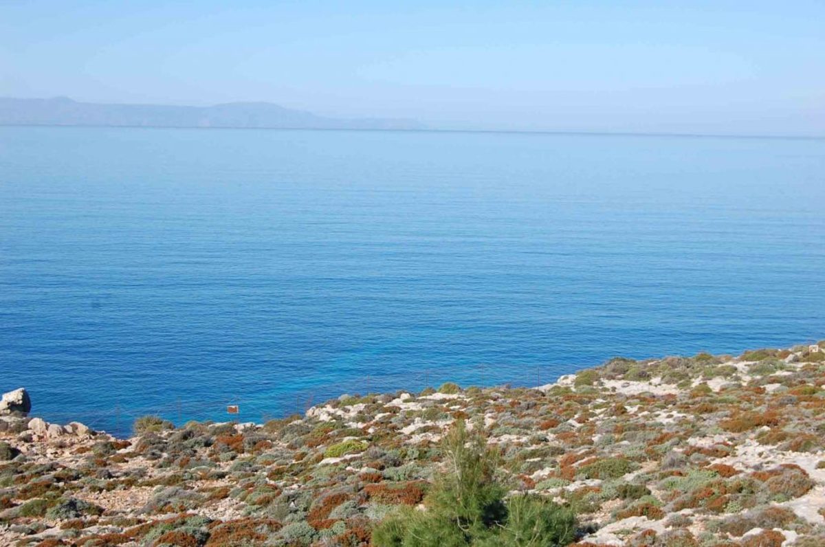«Πούλησα δύο οικόπεδα γιατί χρειαζόμουν χρήματα για τις σπουδές των παιδιών»