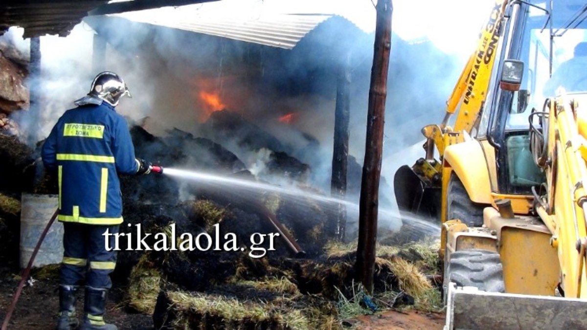 Τρίκαλα: 530 γουρούνια κάηκαν ζωντανά!