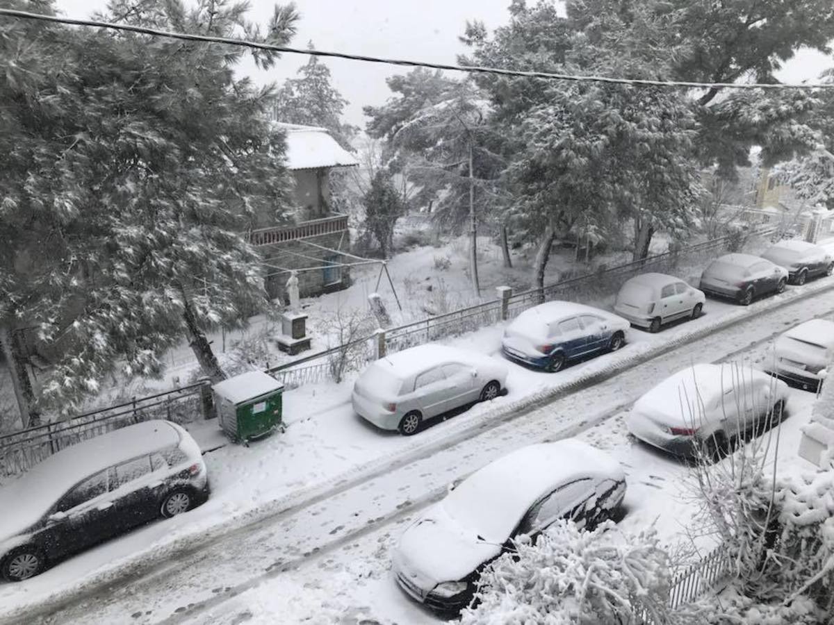 Θεσσαλονίκη: Χιόνι στον Λευκό Πύργο – Περιπέτεια για μαθητές στην κακοκαιρία [pics, vids]