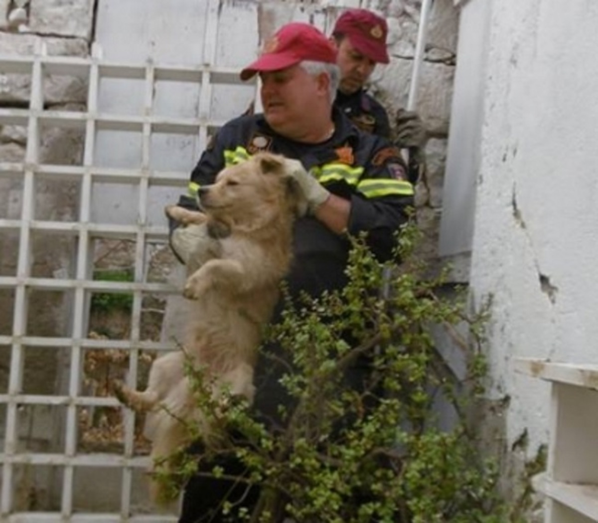Ηράκλειο: Έσωσαν τη ζωή σε εγκλωβισμένο σκύλο – Χειροκροτήματα μετά την επέμβαση των πυροσβεστών [pics]