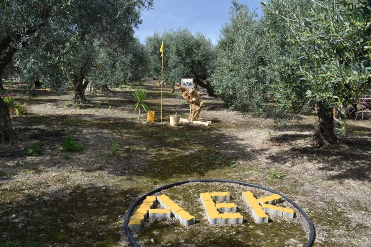 Το χωράφι ενός φανατικού Αεκτζή στα Χανιά [pics]