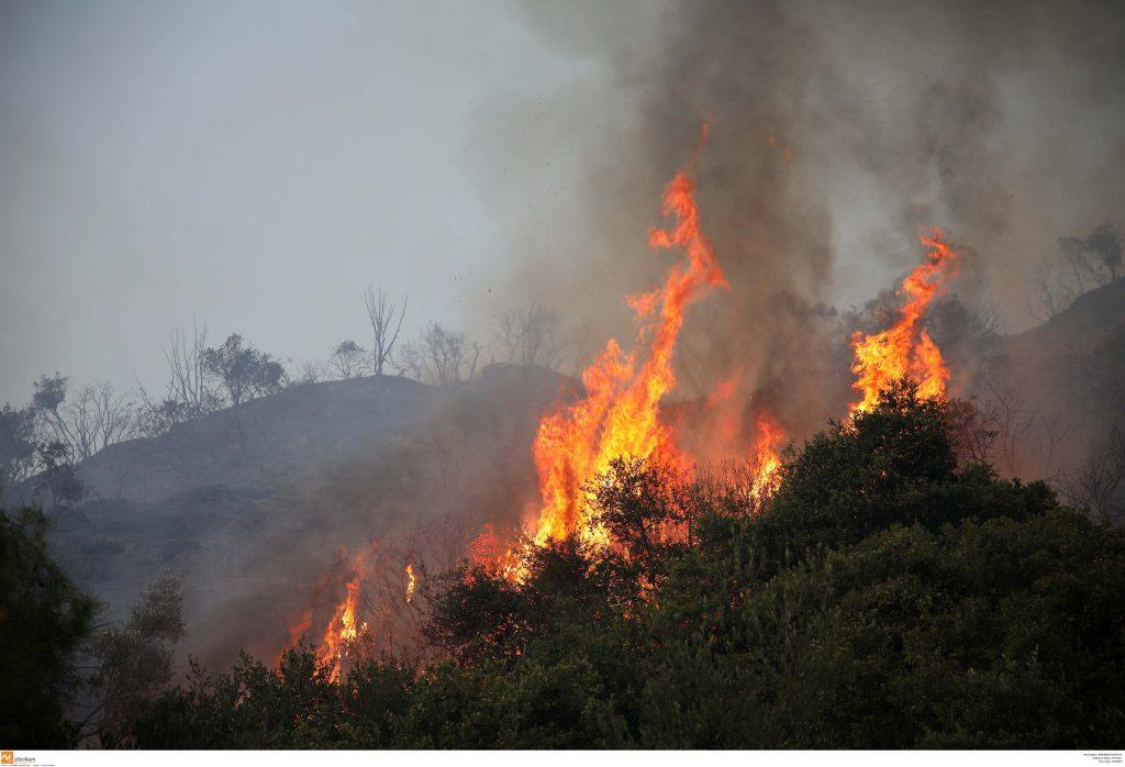 Τέσσερις φωτιές στην Κρήτη – Μάχη με φλόγες και μποφόρ