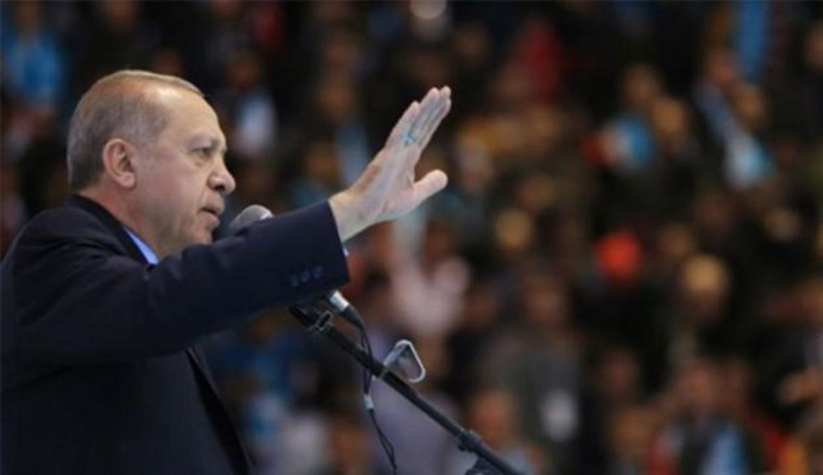 Ερντογάν για χαιρετισμό “Γκρίζων Λύκων”: Μου ξέφυγε αλλά μου άρεσε