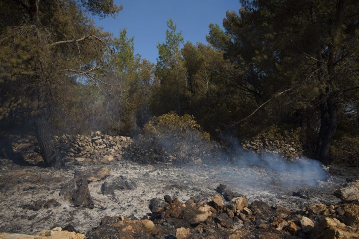 Κρήτη: 10 στρέμματα δάσουν πρόλαβε να κάψει η φωτιά