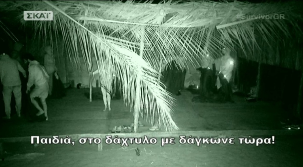Survivor: Ποντίκι δάγκωσε την Ντάρια! Έντρομη πετάχτηκε πάνω, ούρλιαζε…