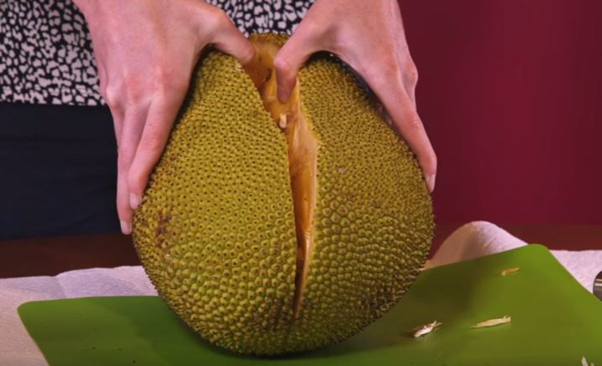 Το φρούτο jackfruit που έχει γεύση χοιρινού
