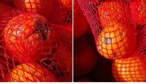 Πάτρα: Τα πορτοκάλια που μοίρασαν σε άπορους ήταν σάπια – Σκέτη απογοήτευση η διανομή τροφίμων!