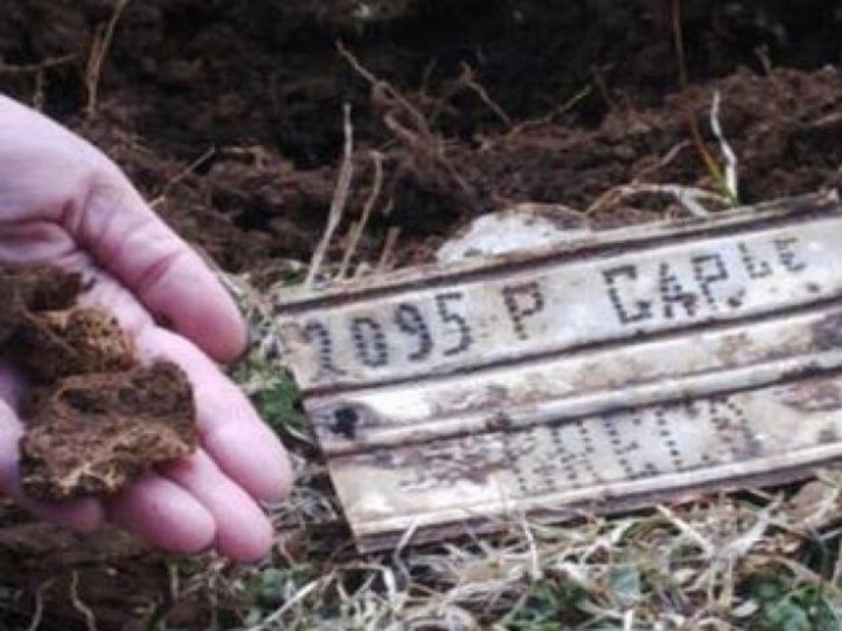 Βρέθηκαν τα οστά 108 πεσόντων του ελληνο-ιταλικού πολέμου