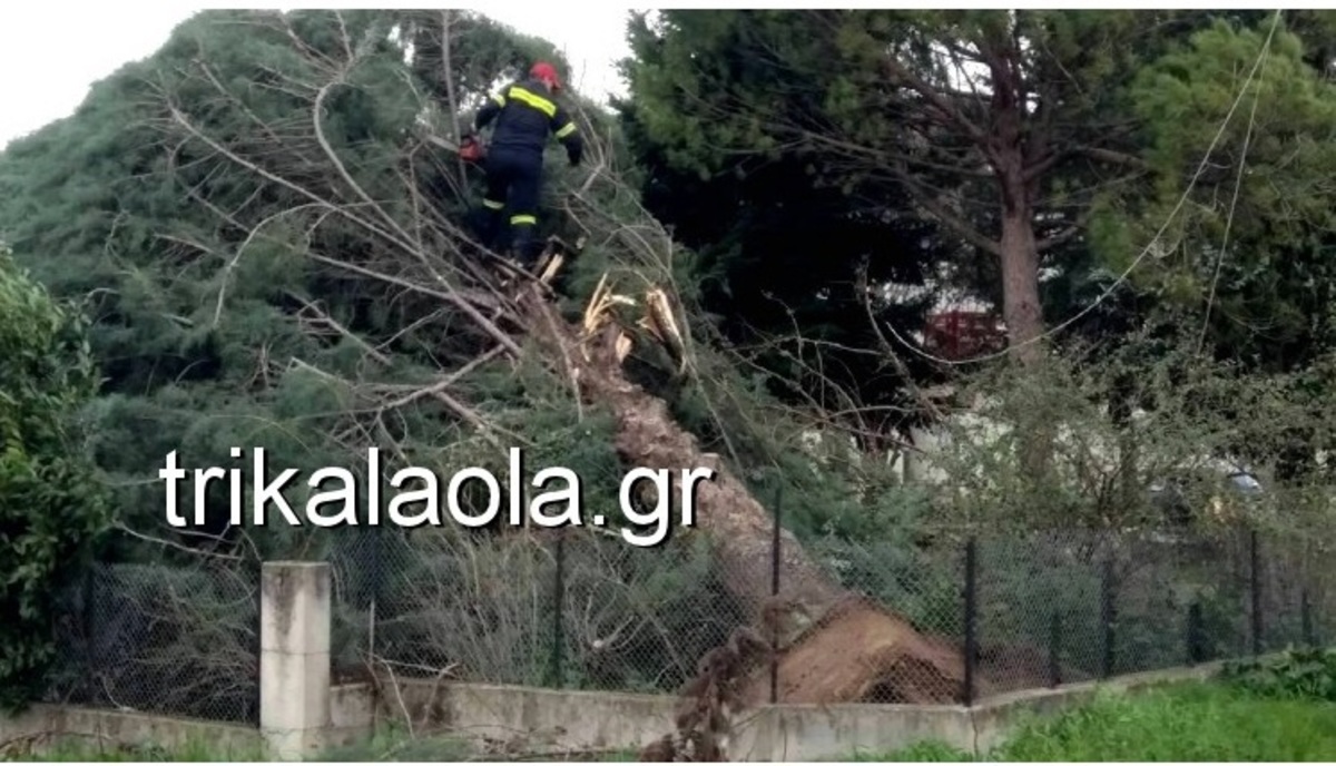 Ανεμοθύελλα σάρωσε τα Τρίκαλα: Ξεριζώθηκαν δέντρα, ξηλώθηκαν σκεπές [pics, vid]