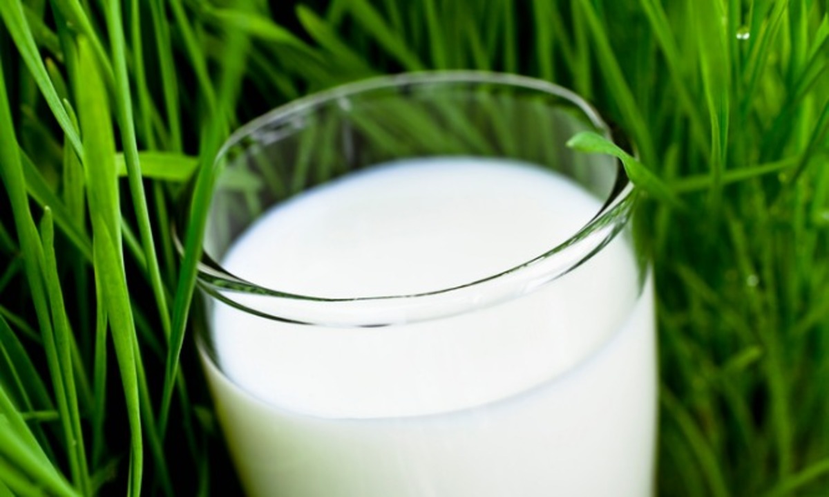 Δείτε ποιο γάλα προστατεύει από αλλεργίες και άσθμα – Είναι όμως και ασφαλές;