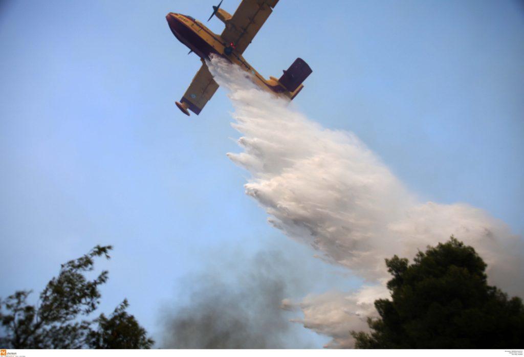Φωτιά στην Ηλεία: Σε εξέλιξη η μάχη της κατάσβεσης – Αιχμές για τα αίτια της καταστροφής [pics, vids]