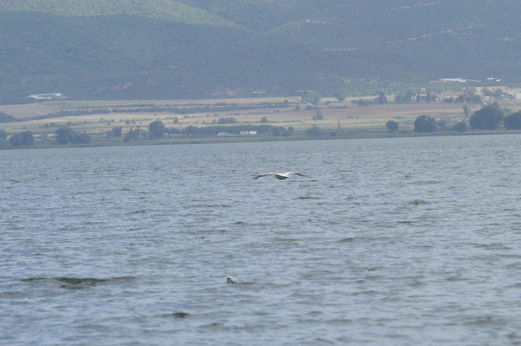 Βρέθηκε νεκρός τρεις μήνες μετά ο αγνοούμενος ψαράς στη Βόλβη