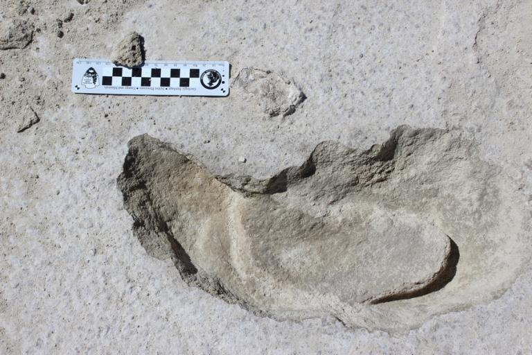 Απολιθωμένα αποτυπώματα αποκαλύπτουν ότι οι άνθρωποι ήταν stalkers πριν 11.000 χρόνια