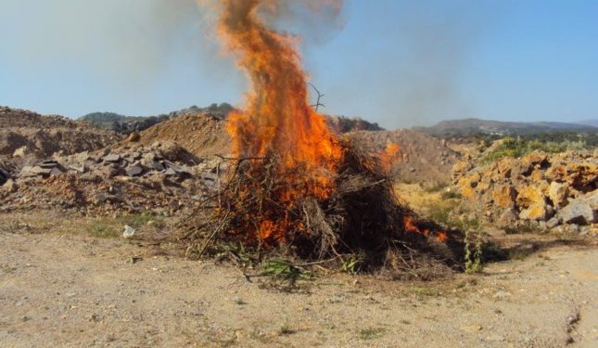 Κρήτη: Έκαψαν πάνω από 20 κιλά κάνναβης