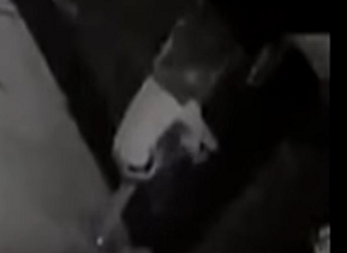 Ηράκλειο: Η κάμερα ασφαλείας έπιασε τα επίμαχα στιγμιότυπα στο ουζερί – Η “απάντηση” του ιδιοκτήτη [vid]