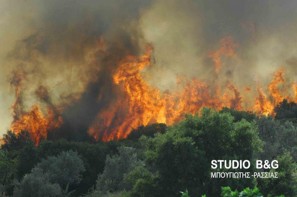 Πυρκαγιά κοντά σε οικισμό της Αργολίδας