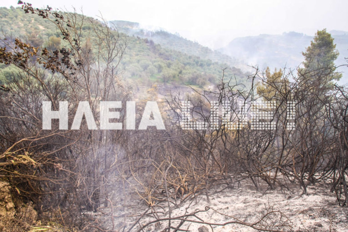 Ηλεία: Καλύτερη η κατάσταση στη φωτιά της Φρίξας