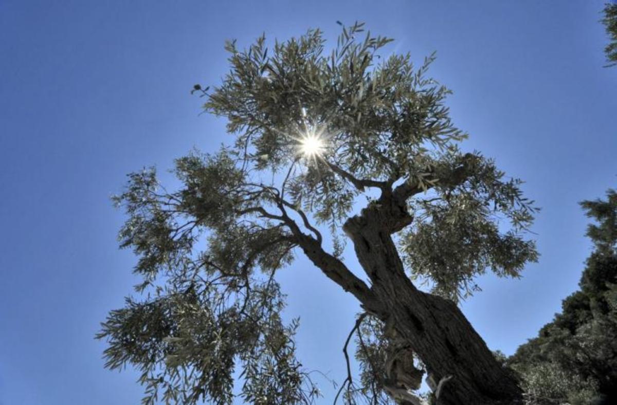 Καιρός: Ήλιος με… δόντια την Δευτέρα