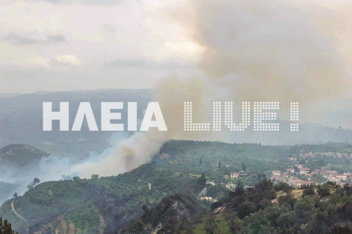 Ηλεία: Ισχυρές πυροσβεστικές δυνάμεις επιχειρούν ακόμα στη Φρίξα