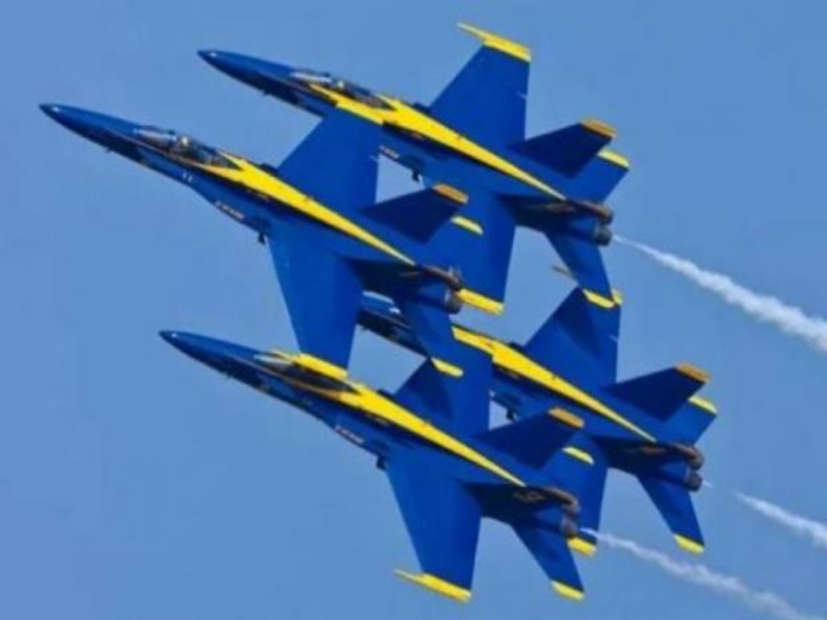 Αεροσκάφος των Blue Angels συγκρούστηκε στον αέρα με… πτηνό! [vid]