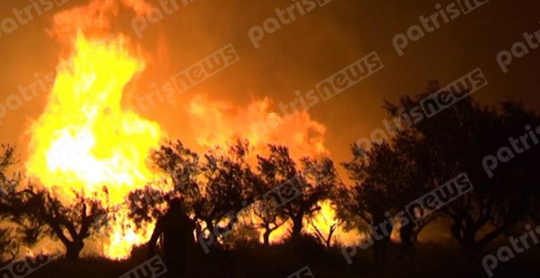 Ηλεία: Έπιασαν 46χρονο για τη μεγάλη φωτιά στη Φρίξα!