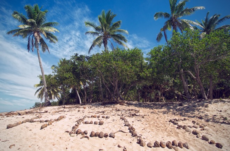 «Αν ναυαγούσα σε νησί, δεν θα ήθελα τον Γιώργο Αυτιά, θα ήθελα την…»