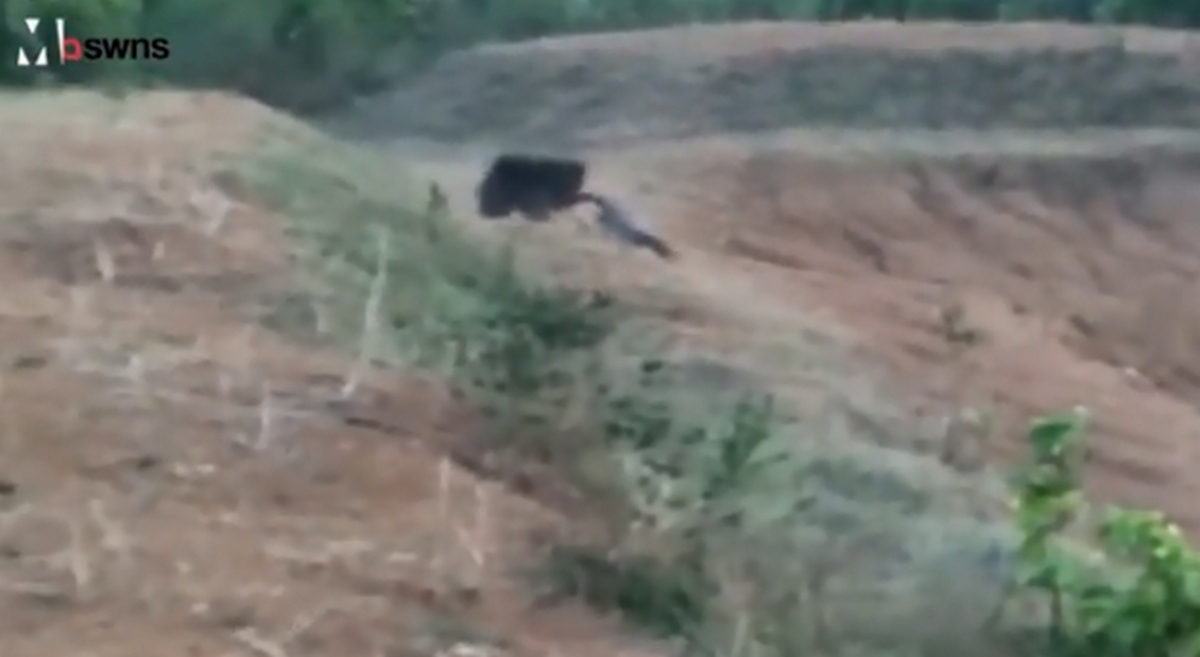 Σοκαριστικό βίντεο! Η μοιραία selfie – Τον σκότωσε αρκούδα