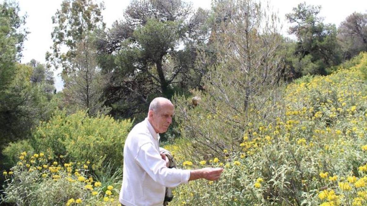 Πέθανε ο αρχαιολόγος Αντώνης Ζώης