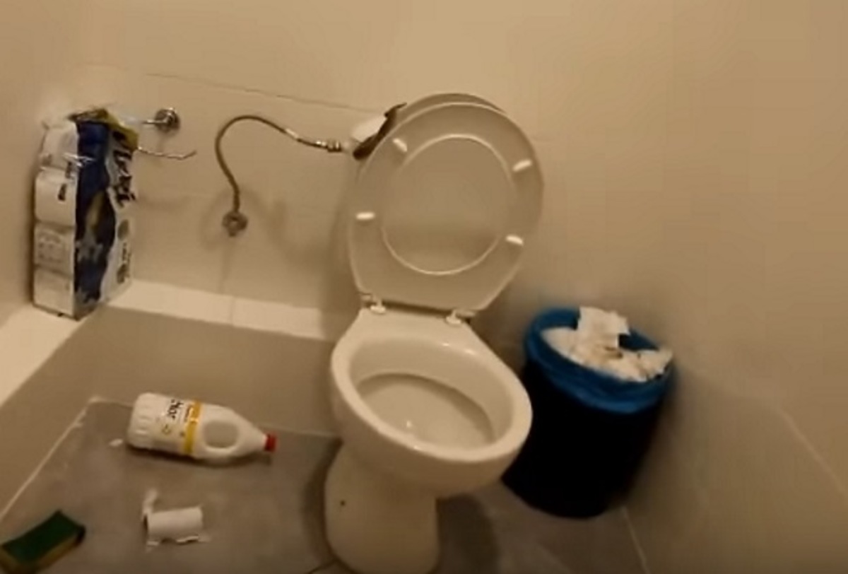 Αγρίνιο: Η τουαλέτα στο πρακτορείο του ΟΠΑΠ έκρυβε αυτές τις εικόνες – Μπήκαν και έπαθαν σοκ με το φίδι [pic, vid]