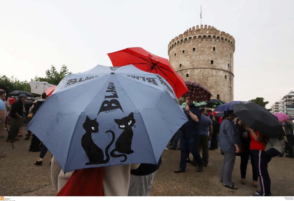Η αυτονόητη συμπαράσταση στον Μπουτάρη ήρθε κι από τις… γάτες!