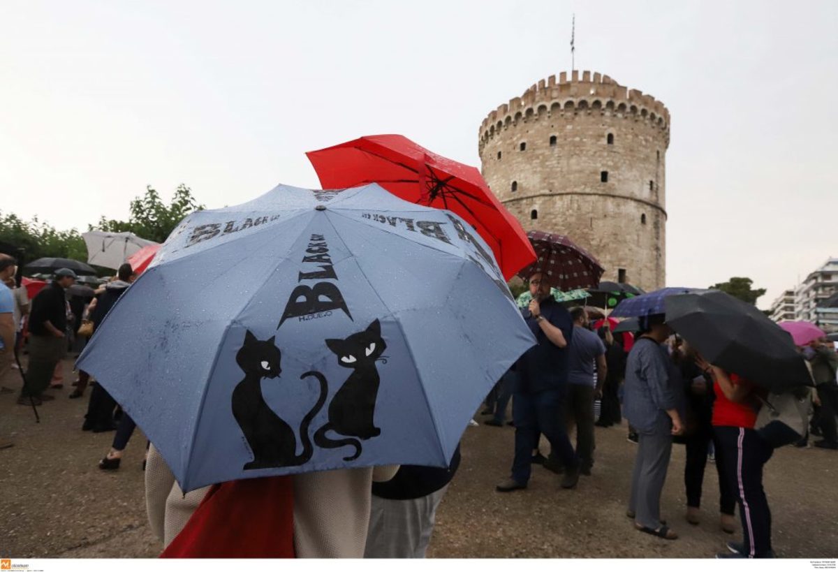 Η αυτονόητη συμπαράσταση στον Μπουτάρη ήρθε κι από τις… γάτες!