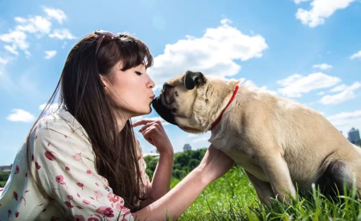 Γιατί δεν πρέπει να φιλάτε τον σκύλο σας στο στόμα