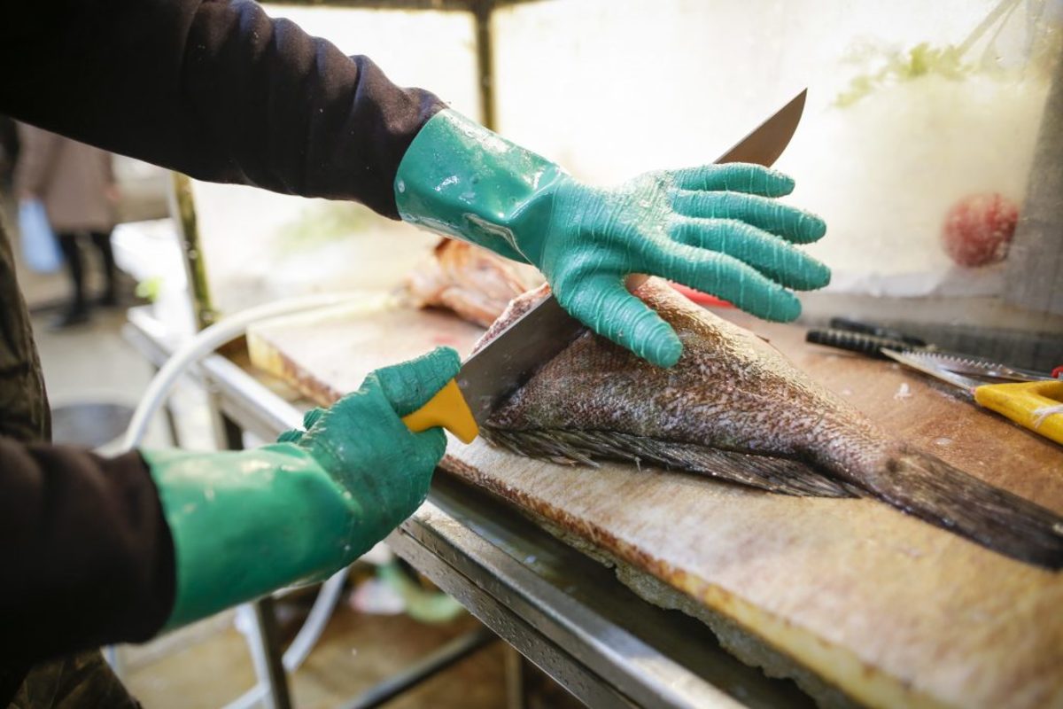 Τοξικοί εισβολείς στο Αιγαίο! Επικίνδυνα είδη ψαριών από την Ερυθρά Θάλασσα