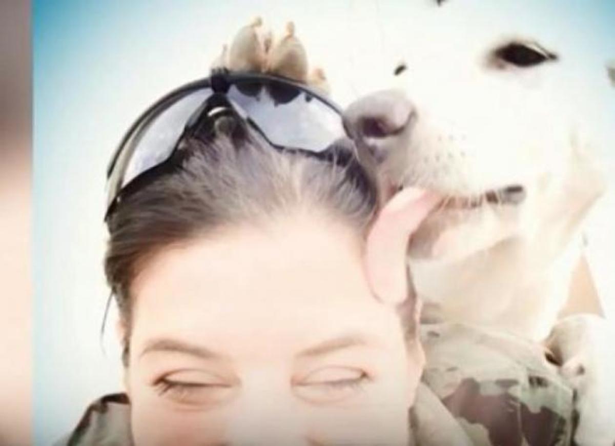 Θα λιώσετε! Η συγκινητική στιγμή που στρατιωτίνα αντικρίζει τον σκύλο της μετά από μήνες! [vid]