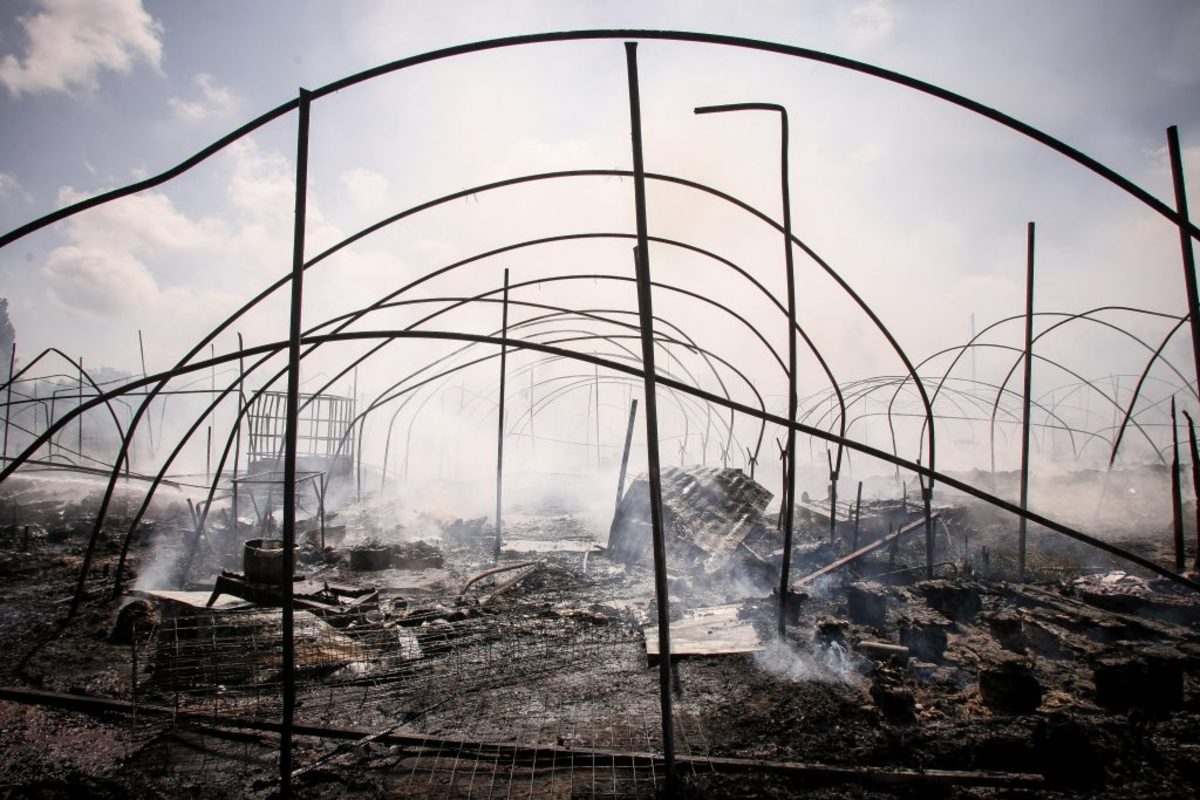 Νέα Μανωλάδα: Γολγοθάς για τους εργάτες μετά τη μεγάλη φωτιά – Σε 86 σκηνές 350 άτομα!