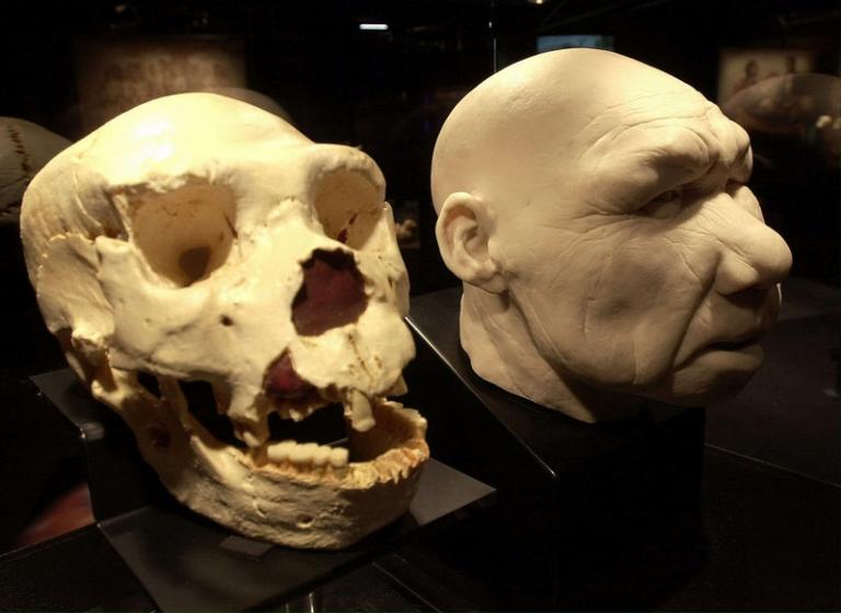 Τα αρχαιότερα ανθρώπινα απολιθώματα στην Ευρώπη – Κανίβαλος o άμεσος πρόγονός μας