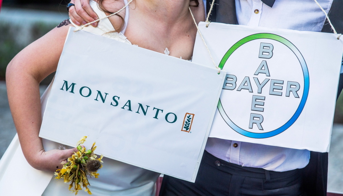 Bayer Monsanto