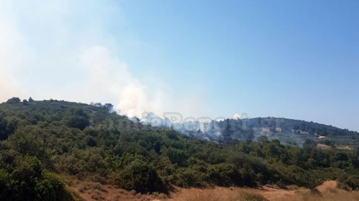 Συναγερμός για φωτιά στην Αταλάντη [vid]