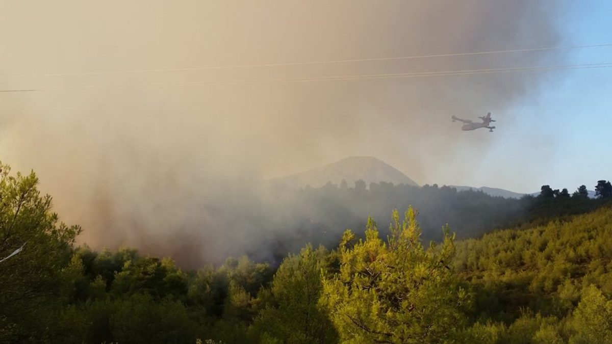 Συνελήφθη υπάλληλος του Δήμου Αθηναίων για εμπρησμούς