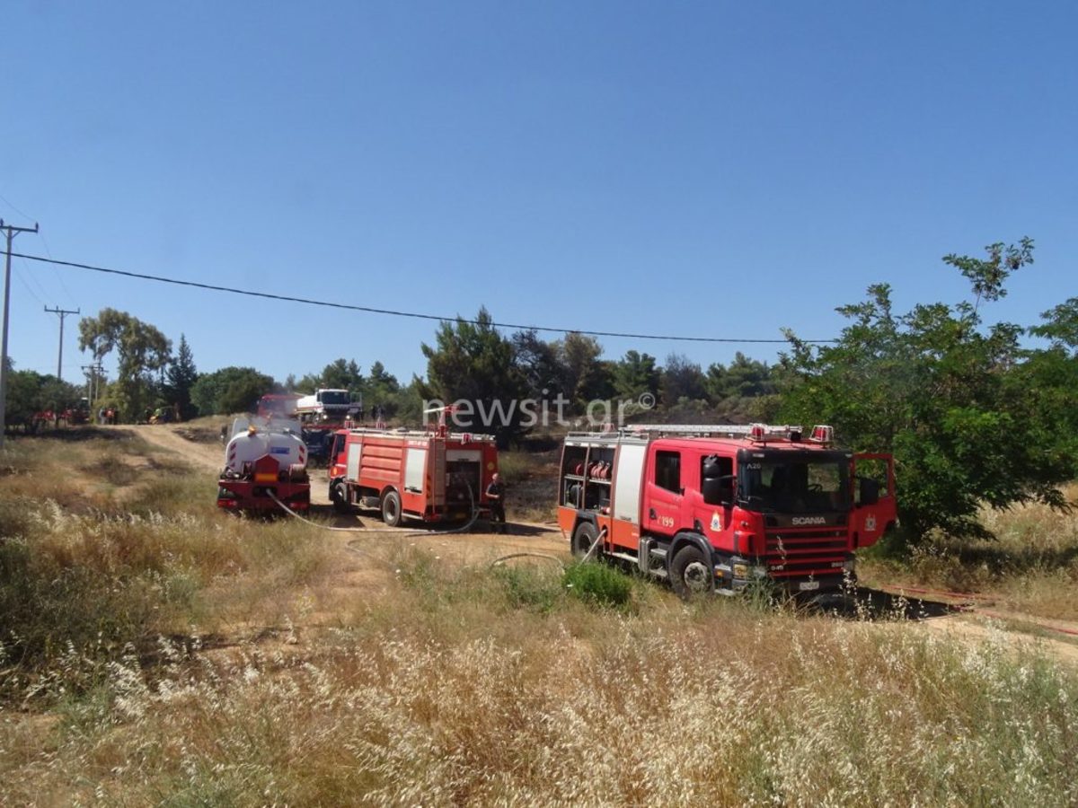 Μεγάλη φωτιά στο άλσος Συγγρού στο Μαρούσι [vid]