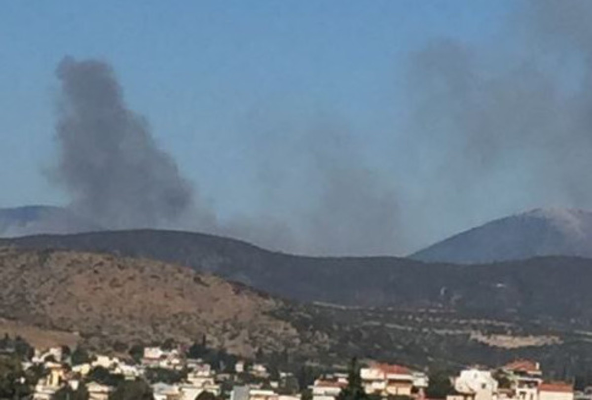 Συναγερμός στην Εύβοια – Μεγάλη φωτιά στον Πισσώνα [pic]