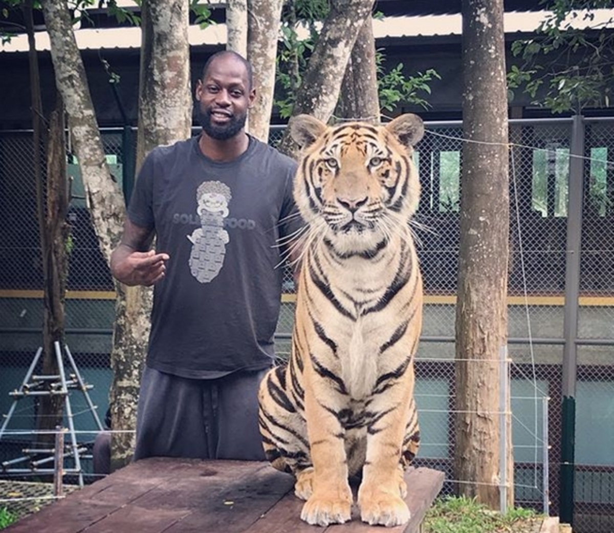 Παναθηναϊκός