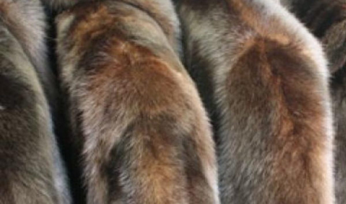 «Όταν ερχόντουσαν θείες μου στο σπίτι, πήγαινα στο κρεβάτι που άφηναν τις γούνες τους και…»