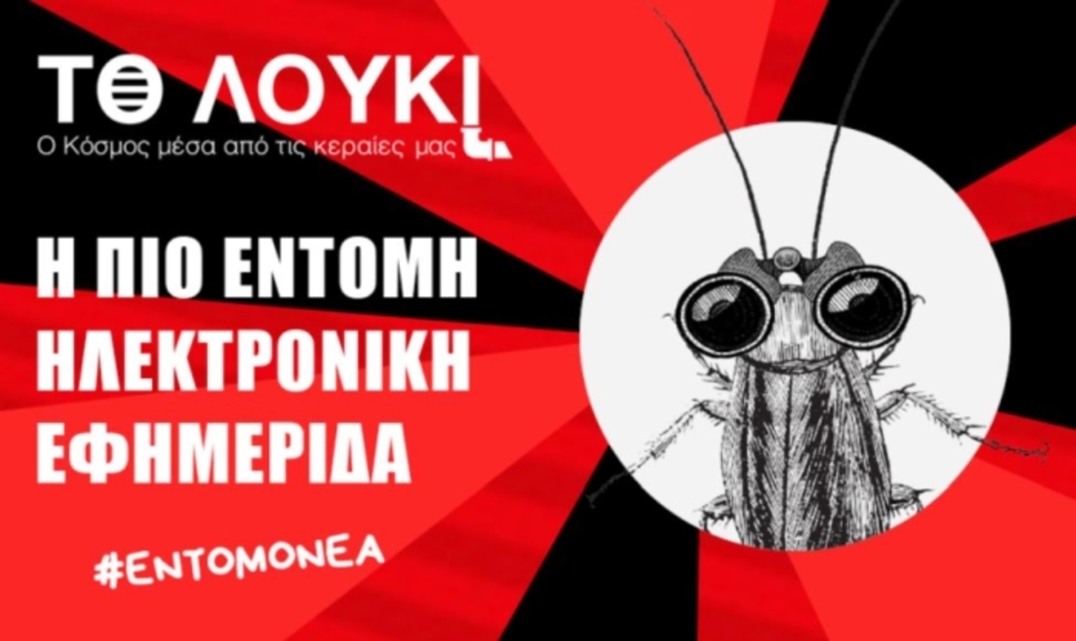 «Το Λούκι»: Οι κατσαρίδες βρήκαν τη φωνή τους